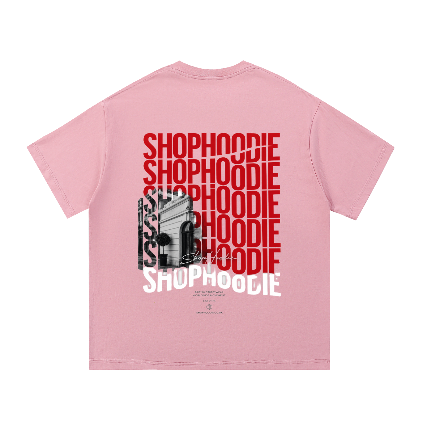 Clothing,tshirt
