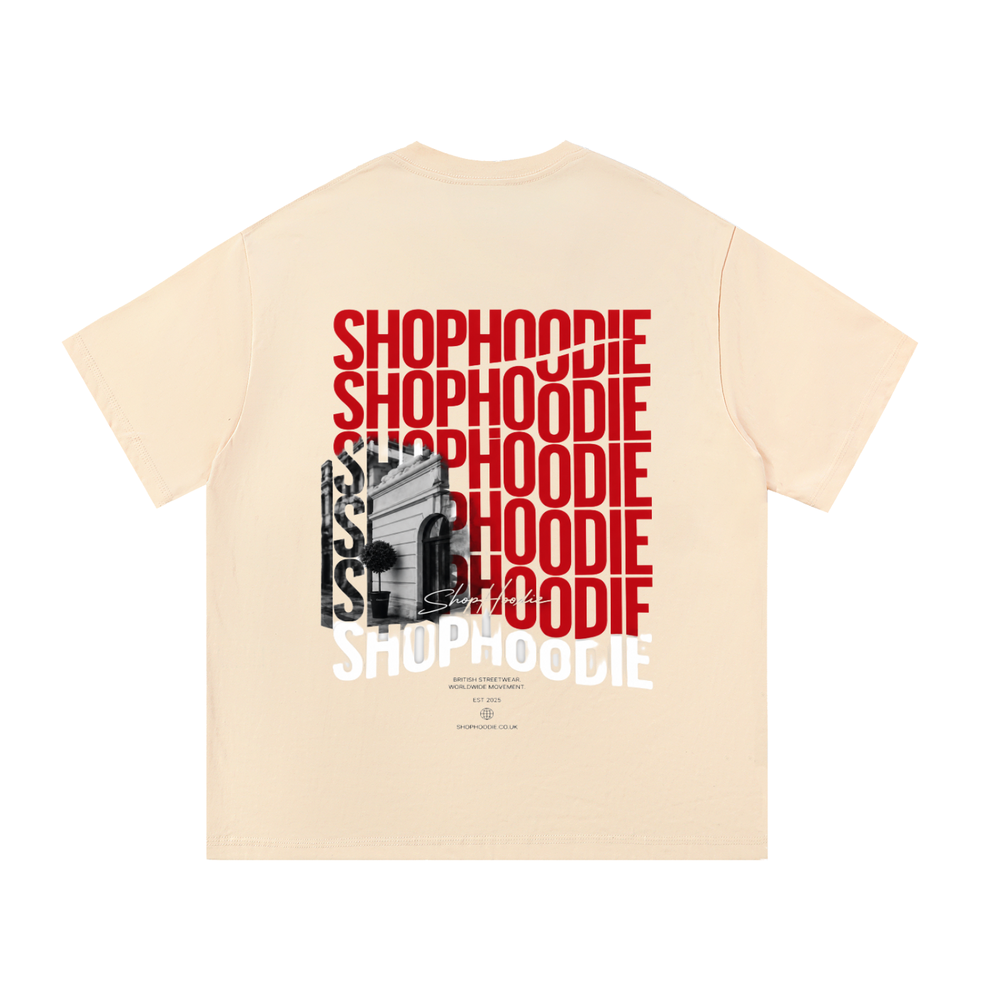 Clothing,tshirt