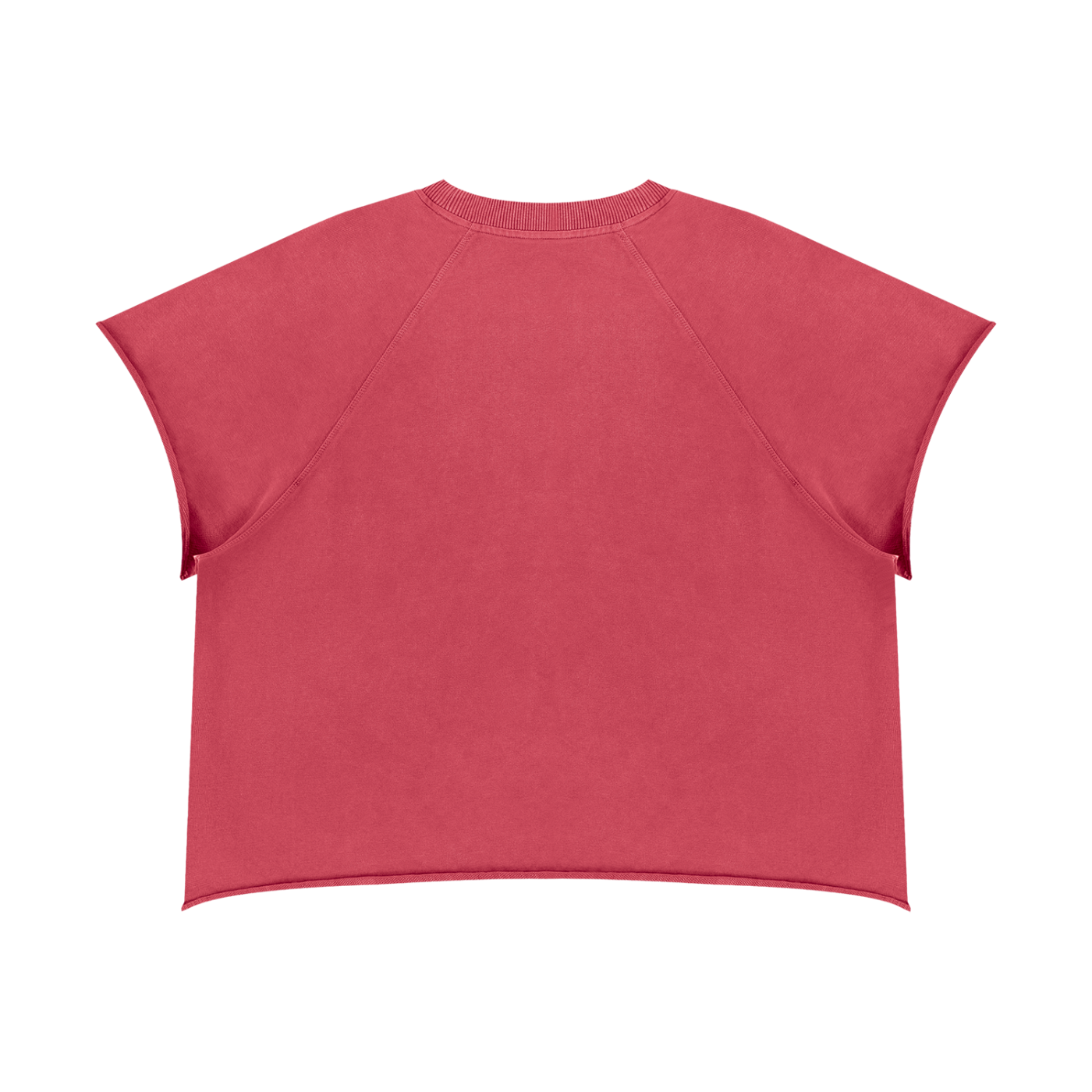 Clothing,tshirt