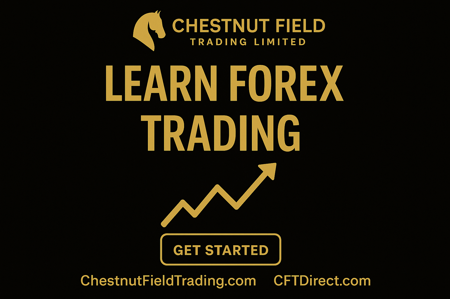 Why Everyone Should Learn Forex Trading