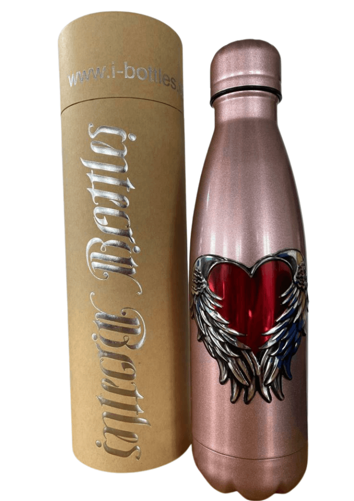 Water Bottle - Stainless Steel and Reusable - Silver