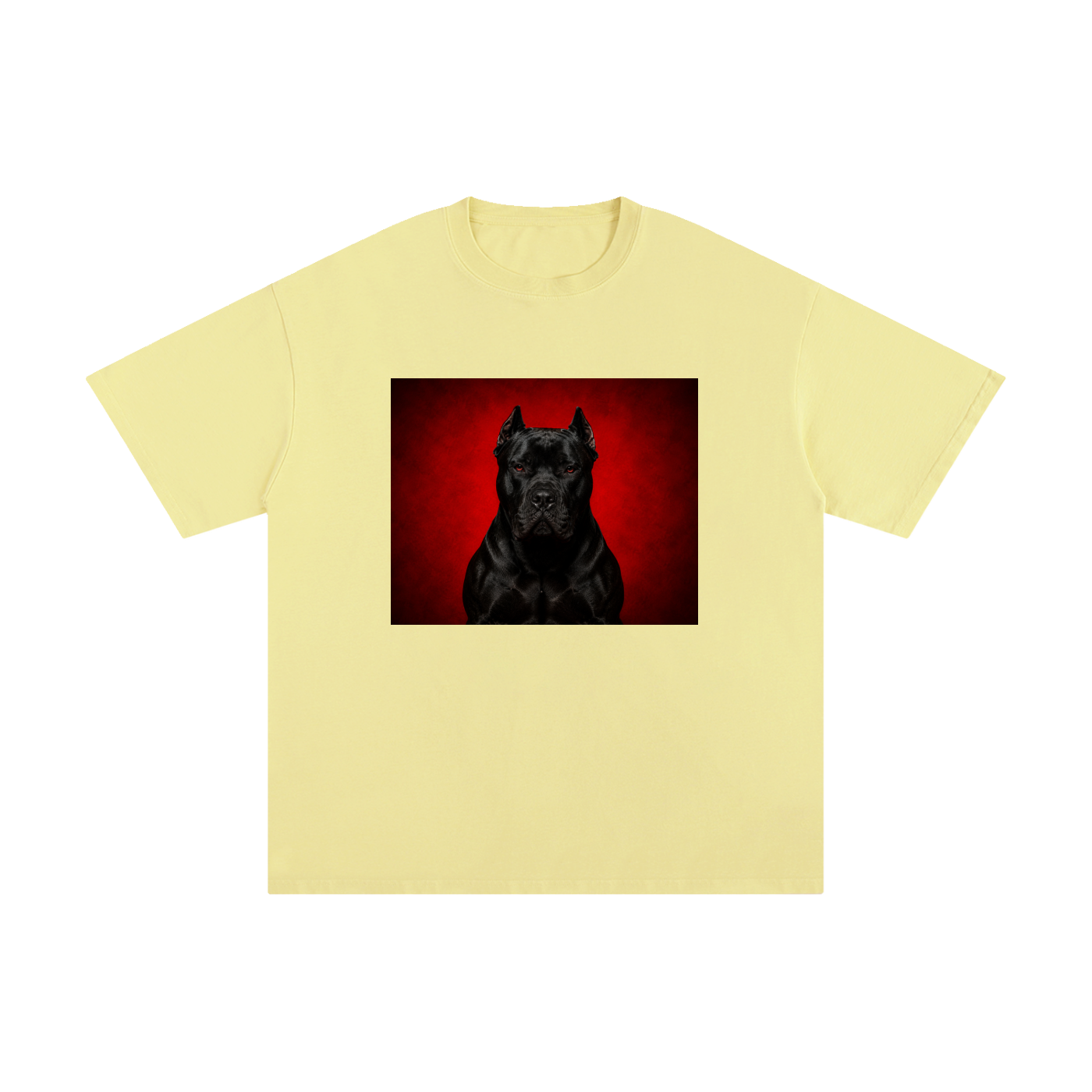 CLOTHING,TSHIRT
