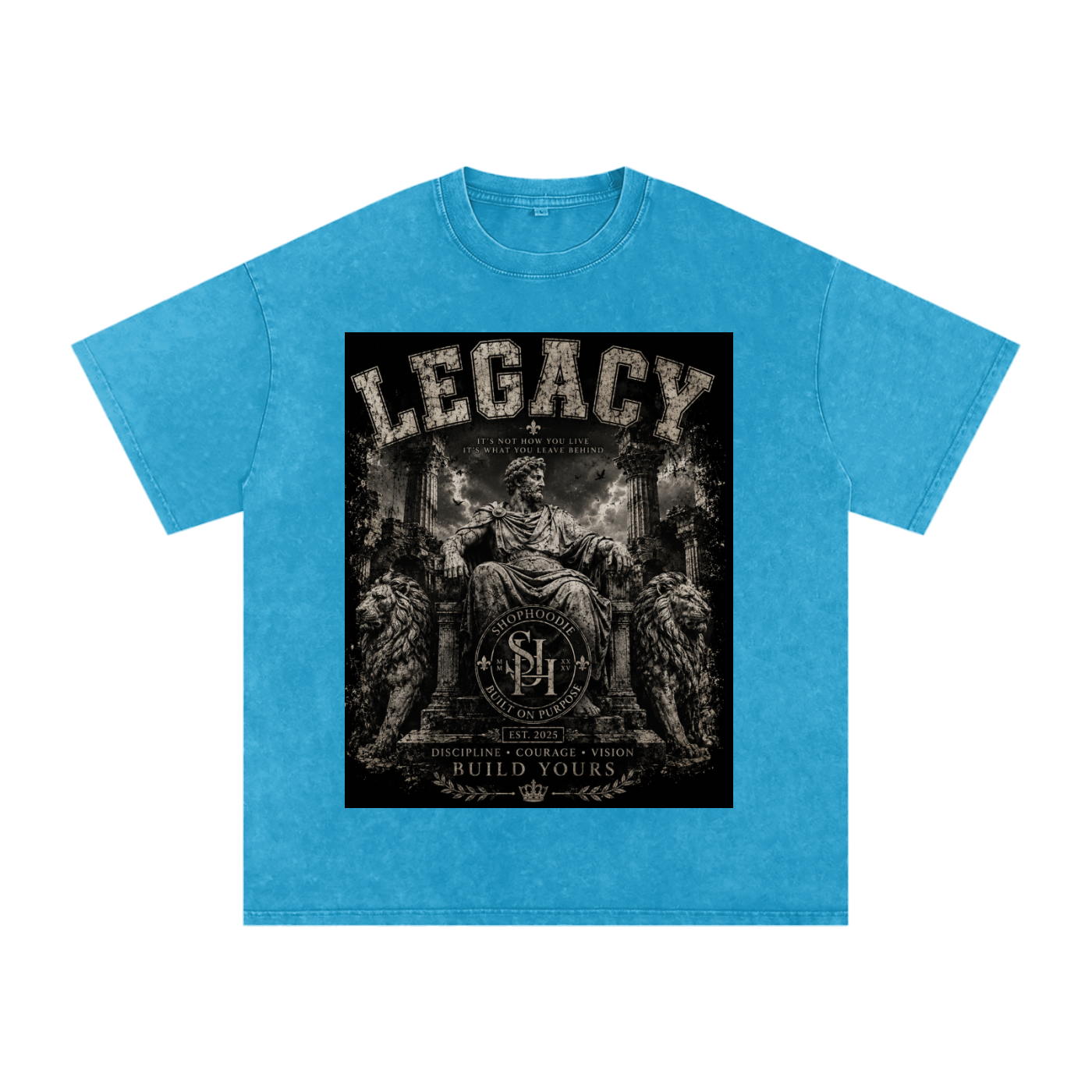 Clothing,tshirt