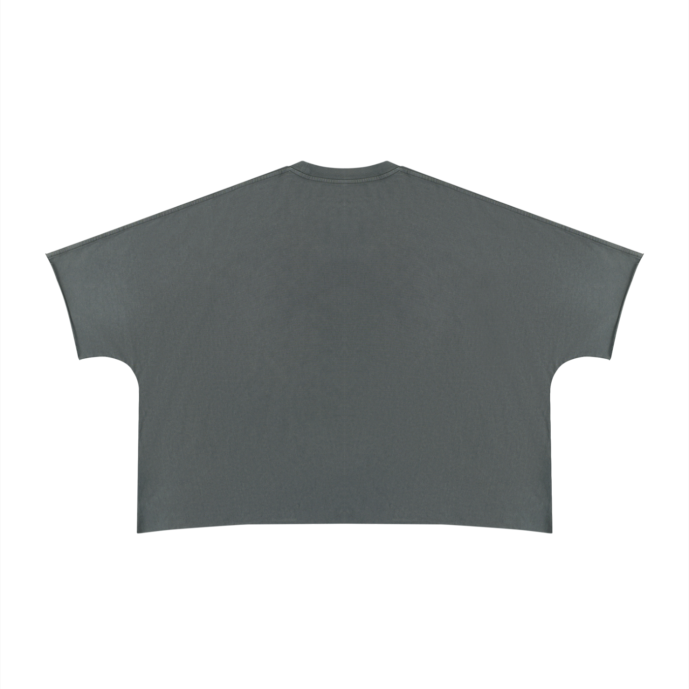 Clothing,tshirt