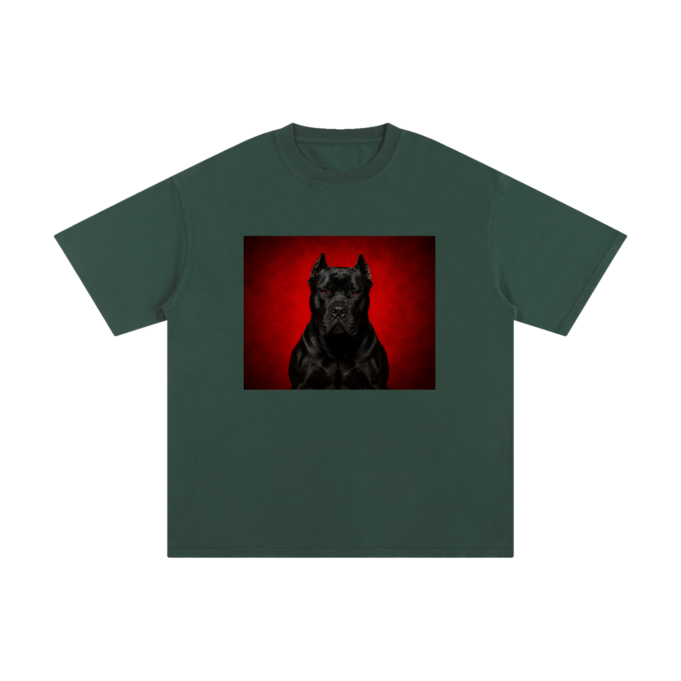 CLOTHING,TSHIRT