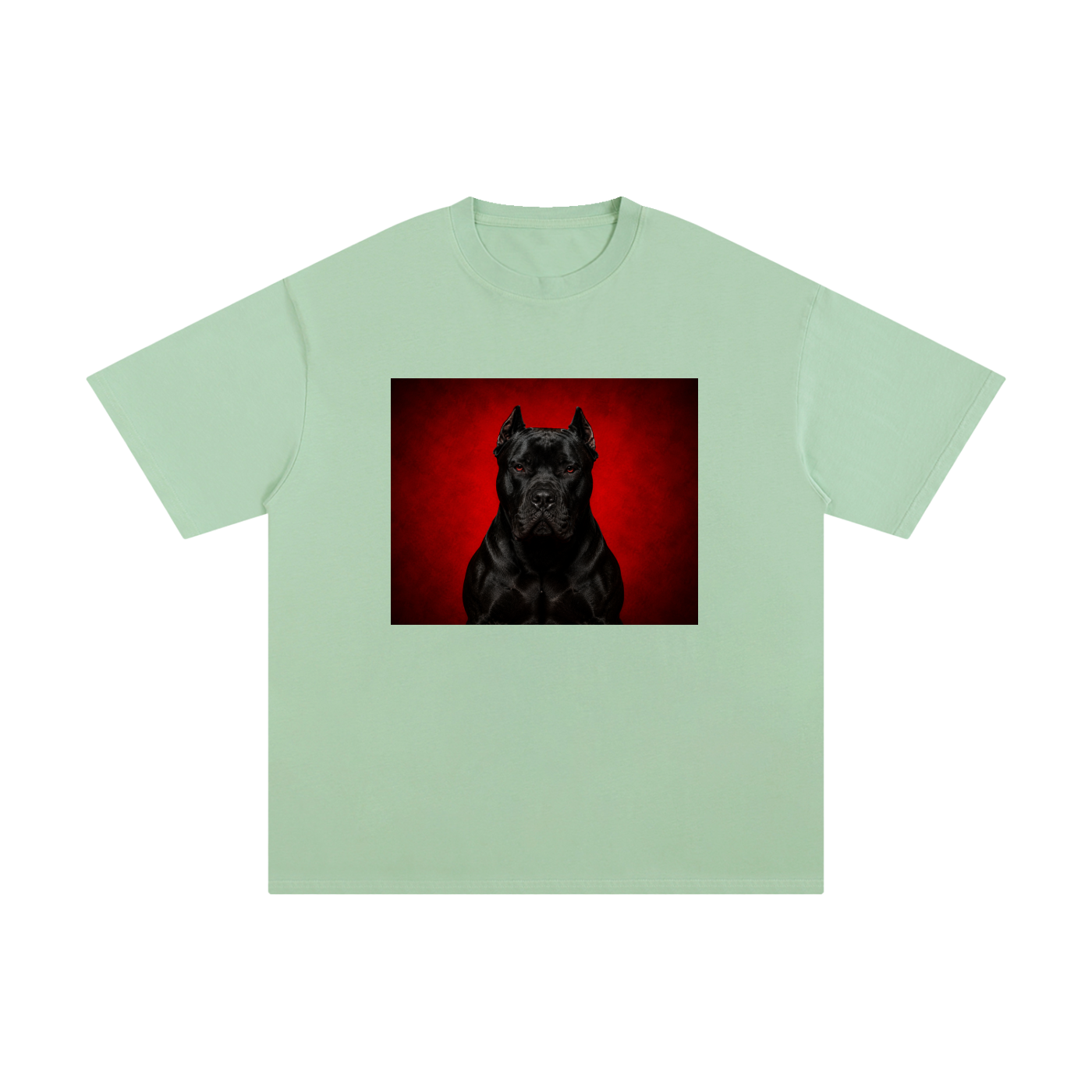 CLOTHING,TSHIRT