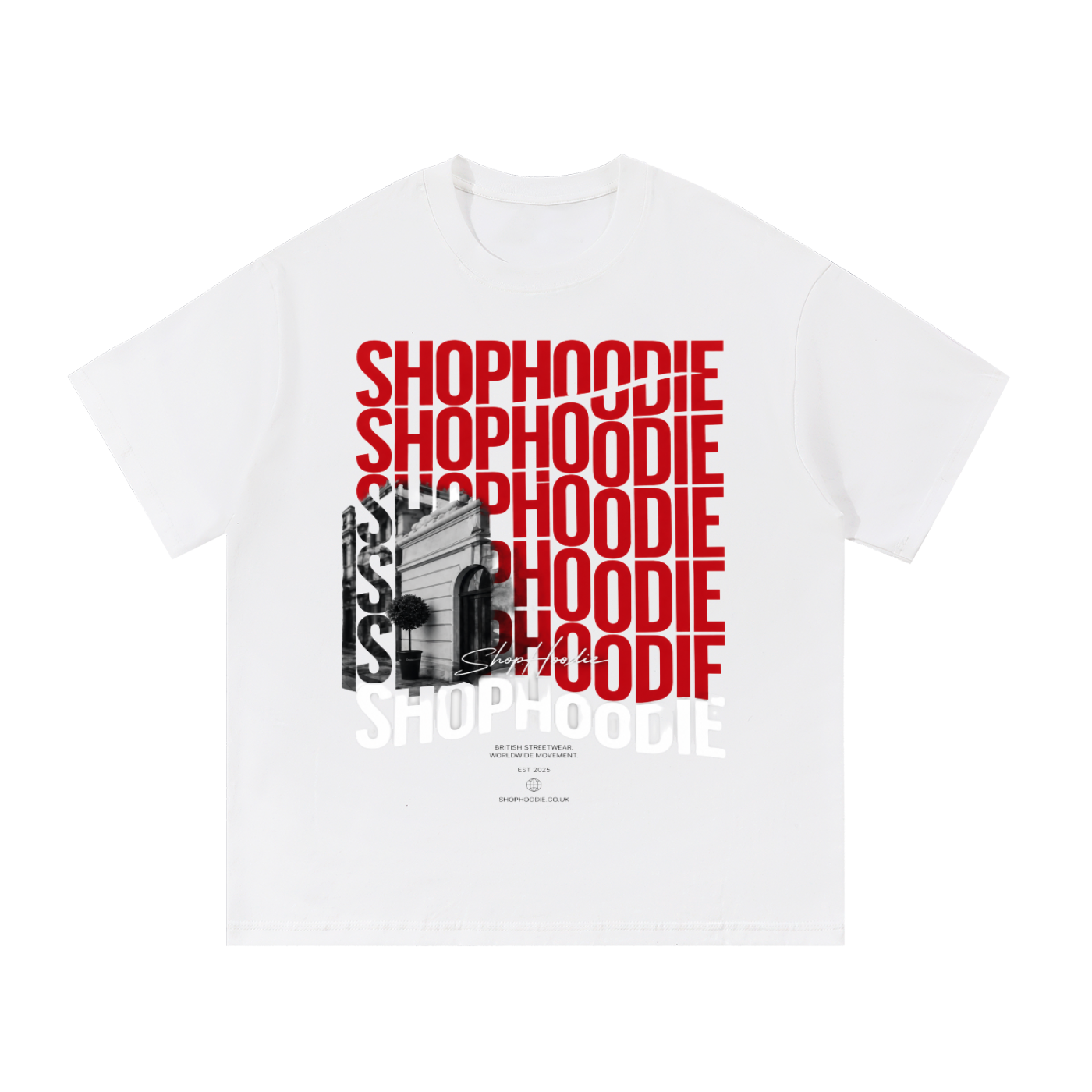 Clothing,tshirt