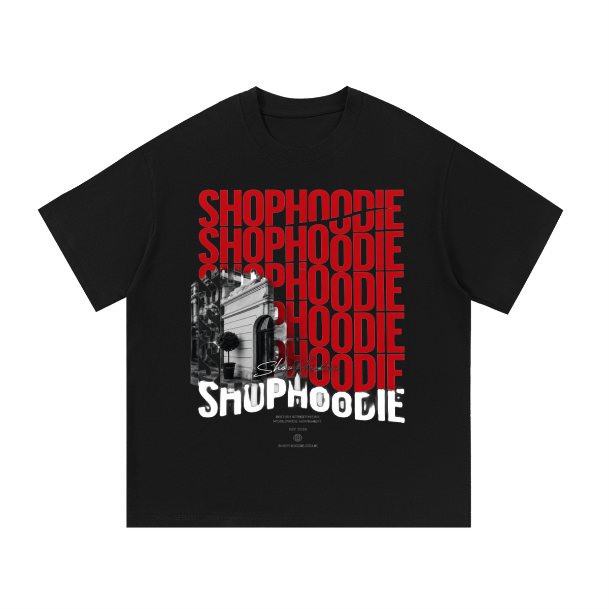 Clothing,tshirt