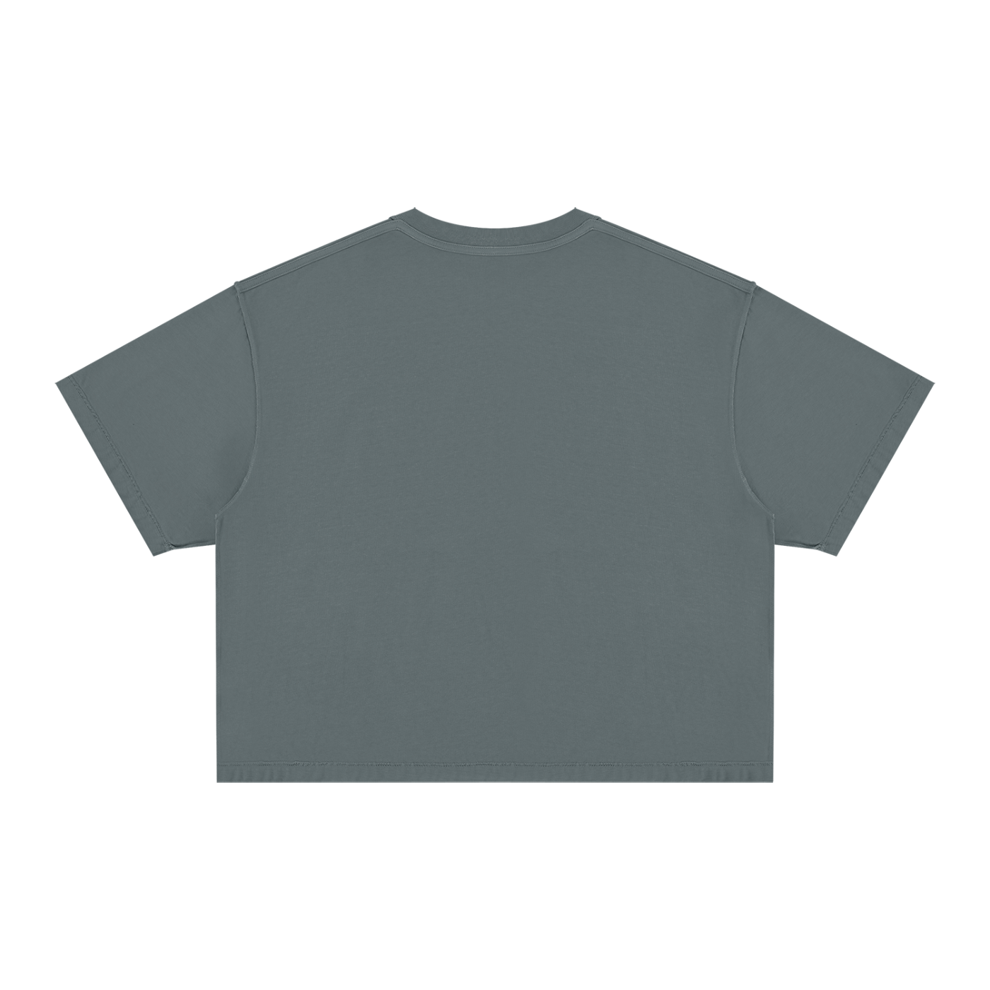 clothing,tshirt