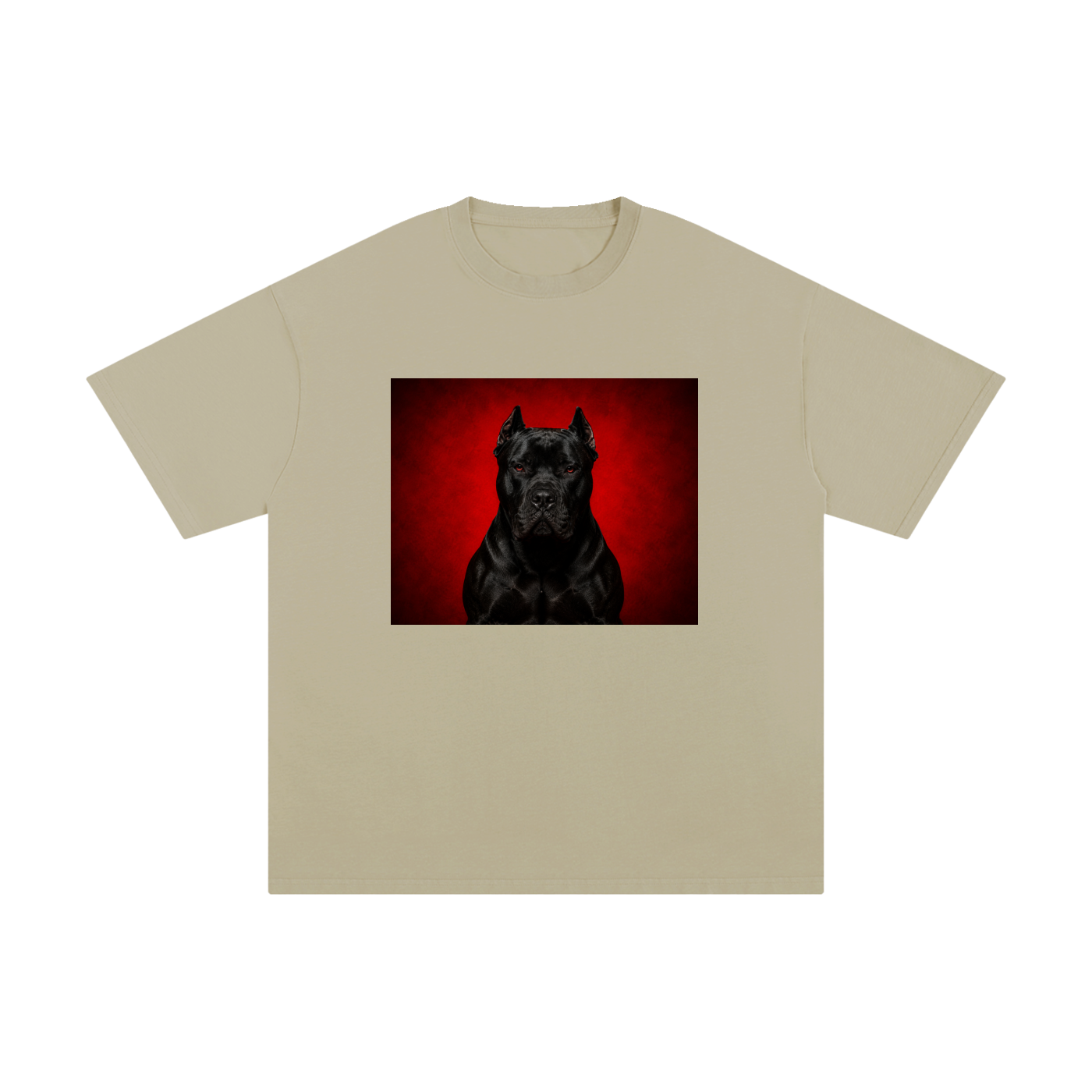CLOTHING,TSHIRT