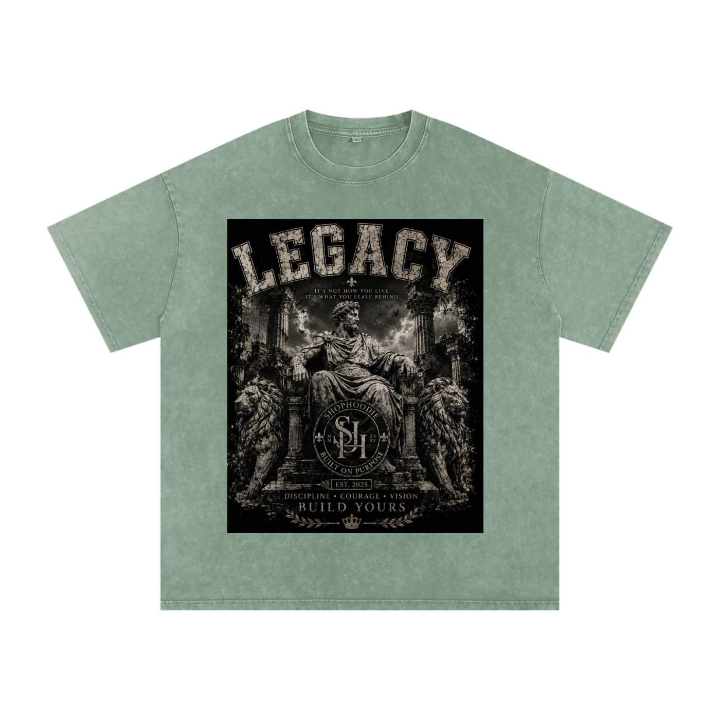 Clothing,tshirt