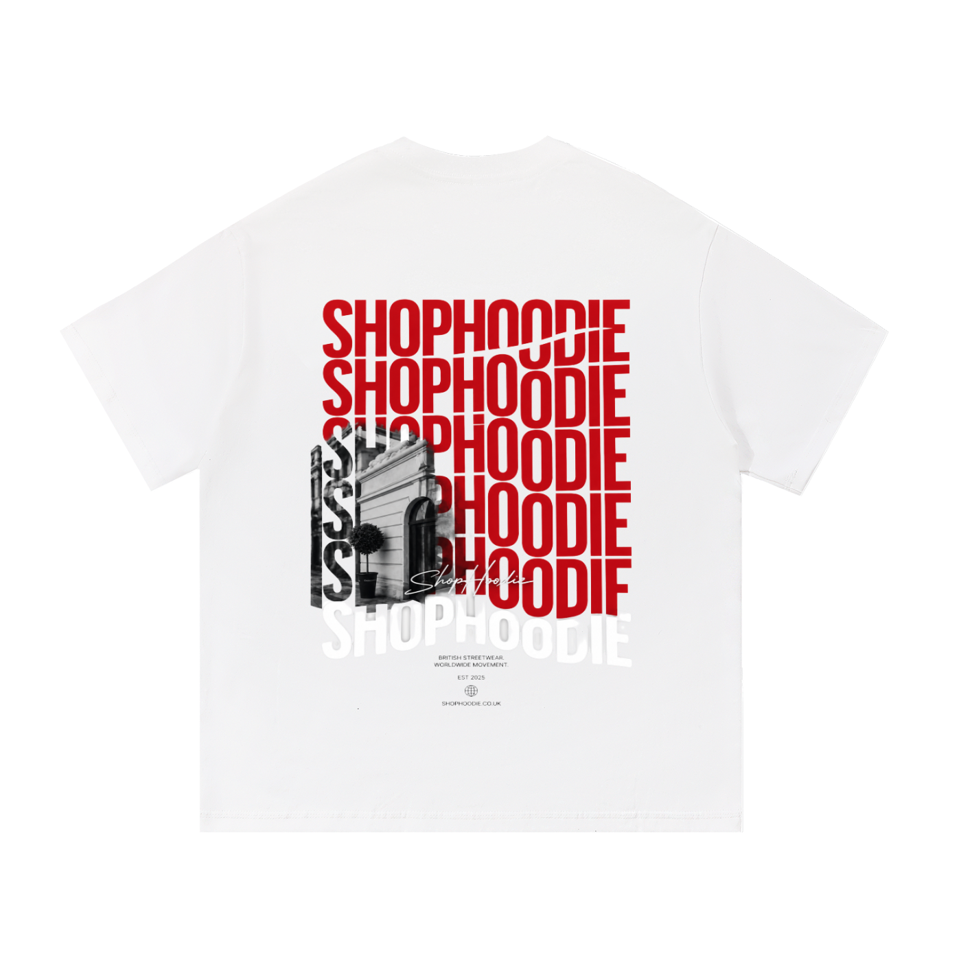Clothing,tshirt