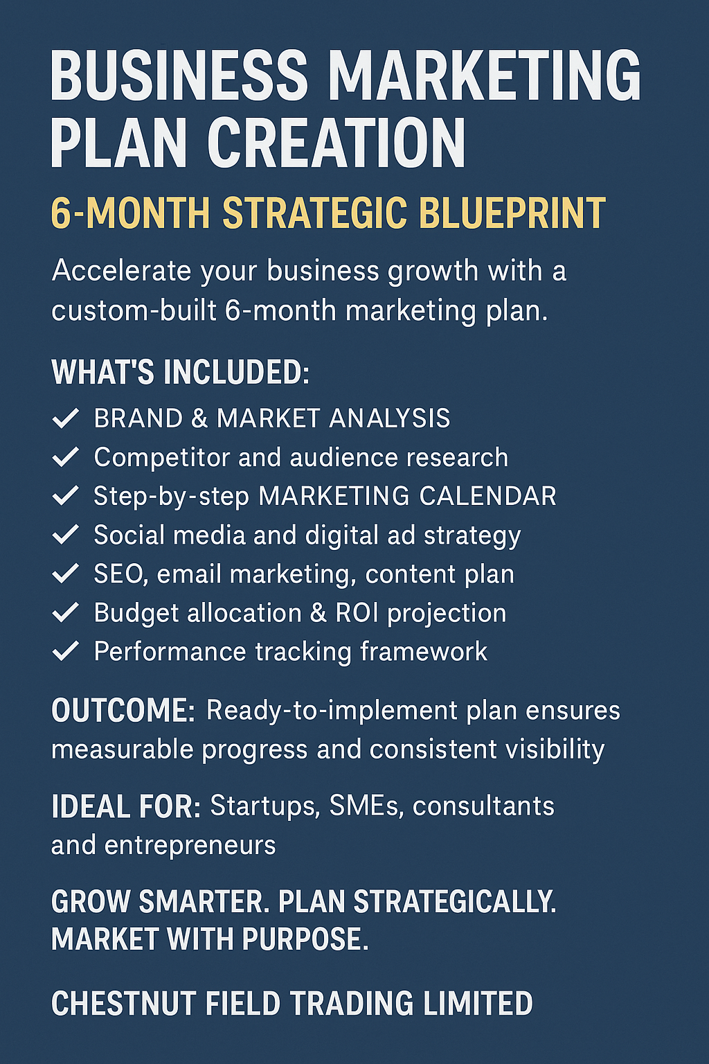 Promotional text for a 6-month strategic marketing plan creation service on a blue background.