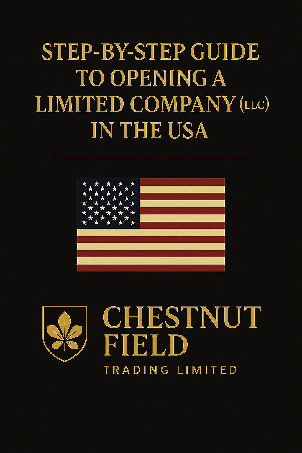 Book cover of 'Step-by-Step Guide to Opening a Limited Company (LLC) in the USA' by Chestnut Field Trading Limited with an American flag.