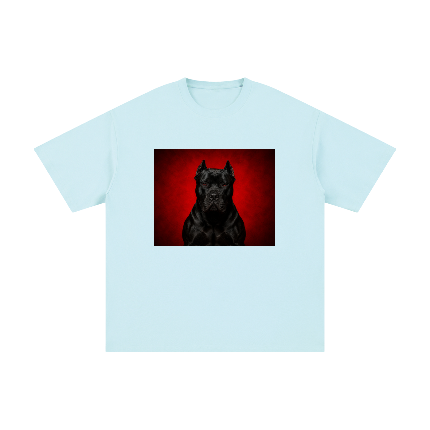 CLOTHING,TSHIRT