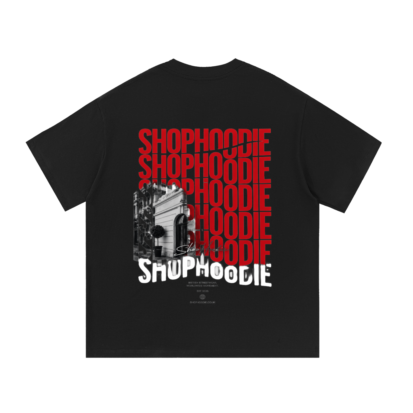 Clothing,tshirt