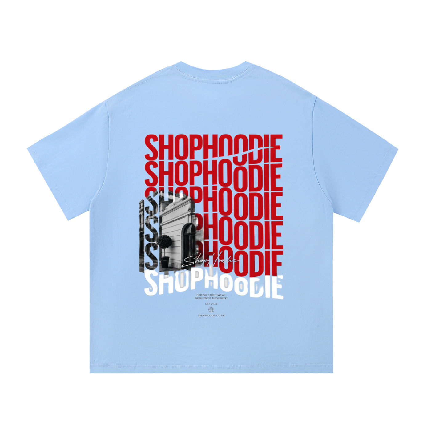 Clothing,tshirt