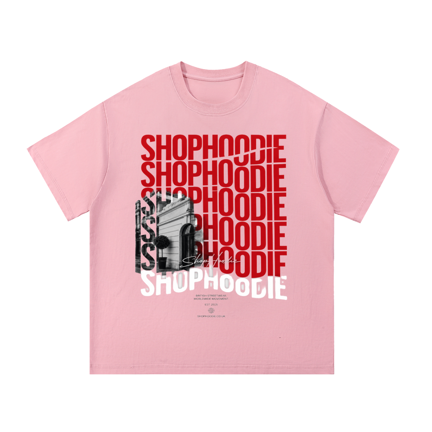 Clothing,tshirt