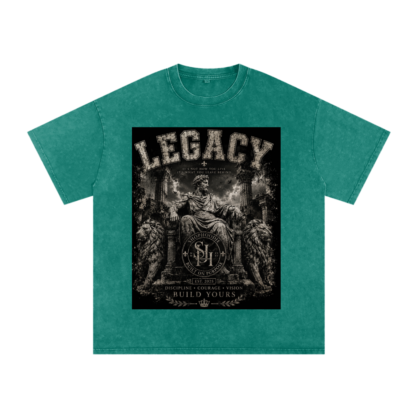 Clothing,tshirt