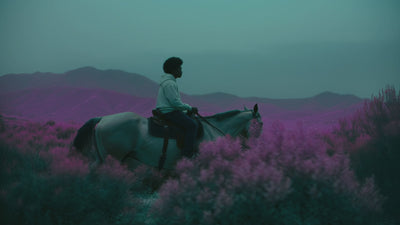 Man wearing hoodie riding a horse cftdirect.com